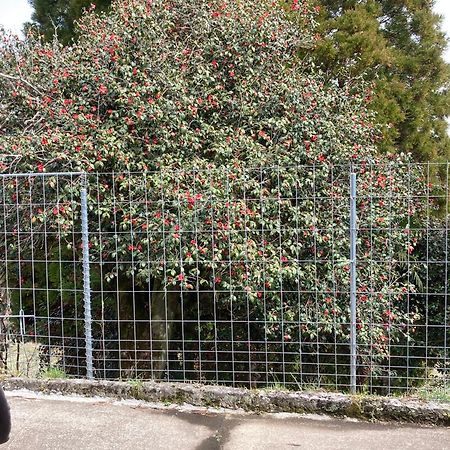 体験型農家民泊「お陽さまと風」 Apartamento Bungoono Exterior foto